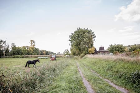 New Town Hall of Scharrachbergheim
